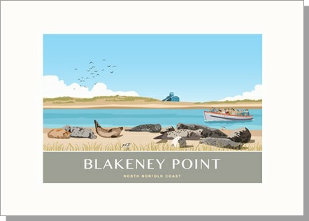 Blakeney Seals Trips Norfolk Card