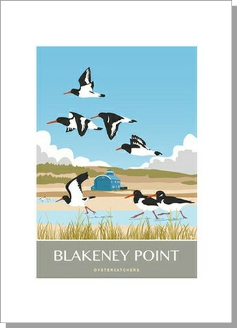 Blakeney Point Portrait Oyster Catcher Crad