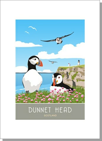 Dunnet Point Puffins portrait Card