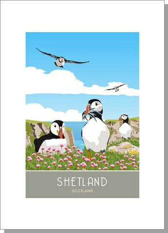Shetland Puffins Greetings Card