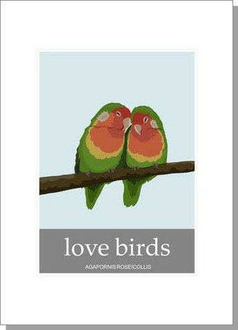 Love Birds Agapornis Roseicollis Greetings Card