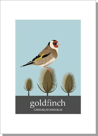 Goldfinch Carduelis Carduelis Card