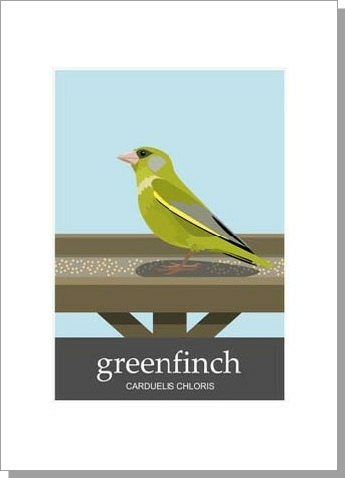 Greenfinch Carduelis Chloris Card