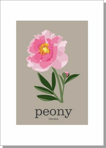 Peony Paeonia Card